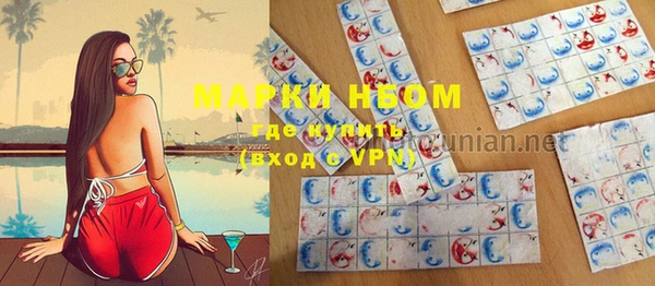 прущие грибы Краснотурьинск